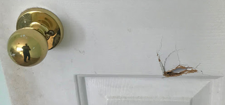 interior door hole repair Spring Valley Lake